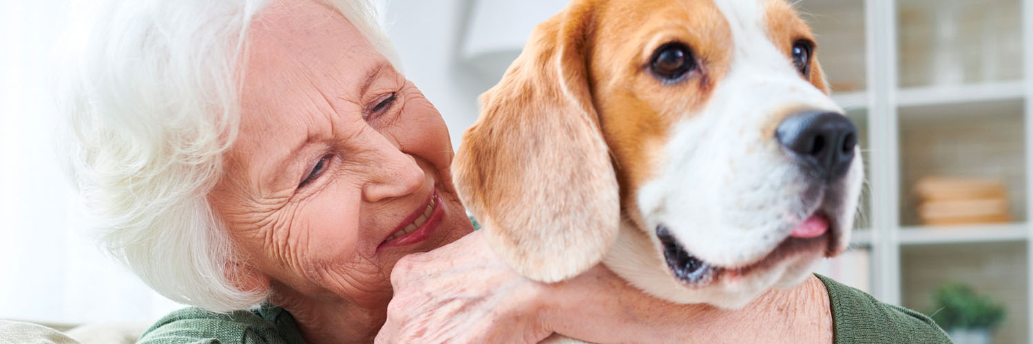 Absolute Personal Care Las Vegas Home Care